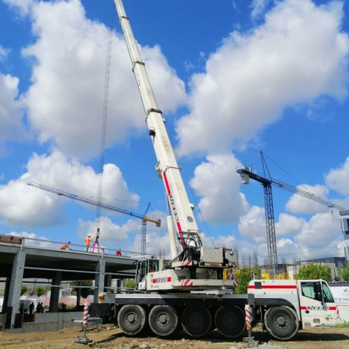 neeb-despre neeb-despre